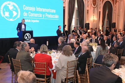 El Consejo Interamericano de Comercio y Producción (CICyP) fue inaugurado por la nueva presidente de la entidad, Bettina Bulgheroni
