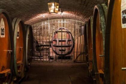 El consume de vino en Francia data del siglo V A.C.