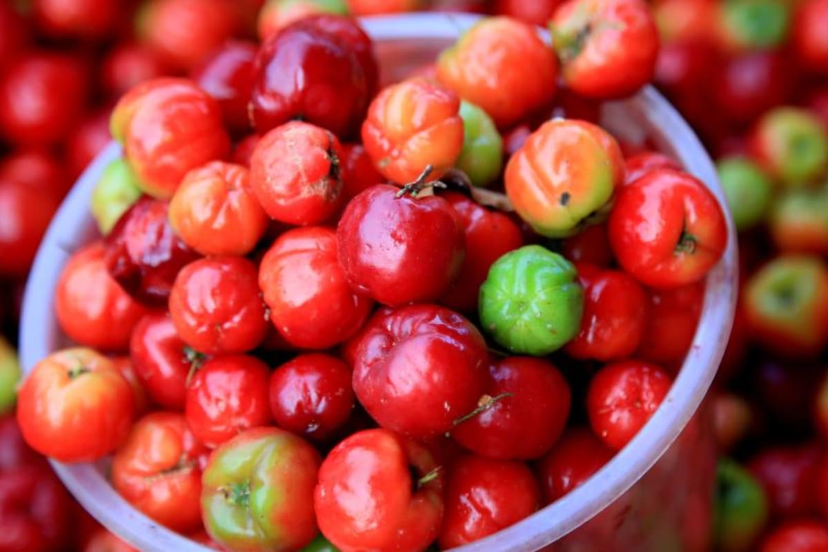 El consumo de acerola otorga innumerables beneficiosos al organismo. Foto: iStock