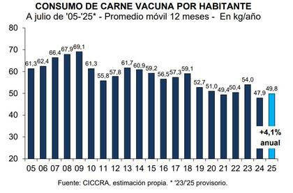 El consumo de carne vacuna a julio, con el promedio de los últimos doce meses desde 2005