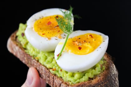El consumo de huevo diario es ideal para fortalecer el sistema inmunológico