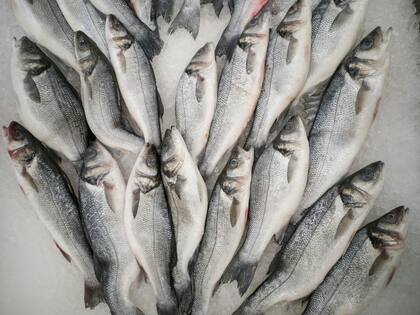 El consumo de pescado semanalmente puede contribuir con el consumo de omega-3