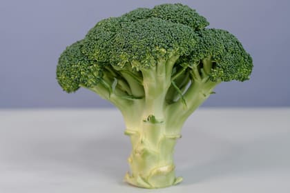 El consumo de vegetales de hoja verde, como el brócoli, que están compuestos de antioxidantes, ayudan a impedir el deterioro celular de las neuronas