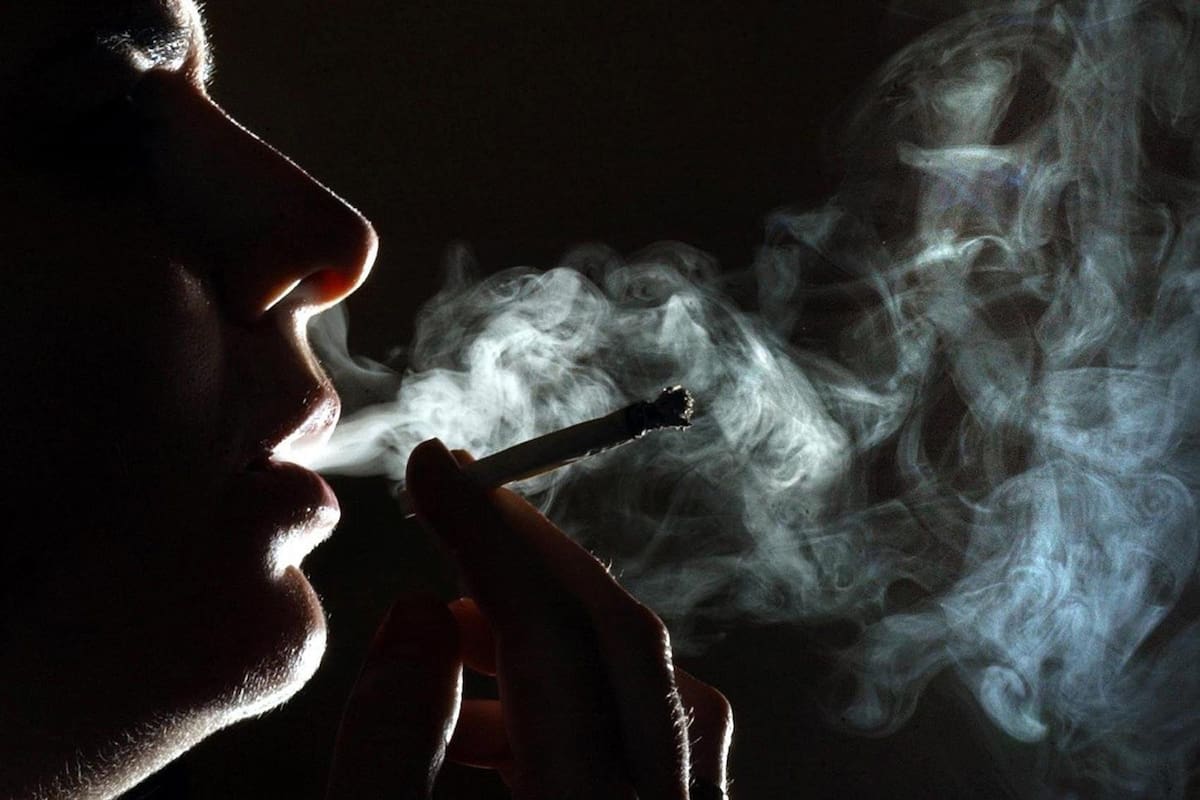 El consumo diario de cannabis crece en distintos grupos etarios, en un contexto de mayor disponibilidad y cambios culturales
