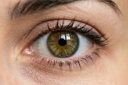 El contacto de la mosca “come ojos” provoca una irritación inmediata y enrojecimiento en el área afectada