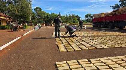 El conteo de la marihuana secuestrada en Alto Uruguay