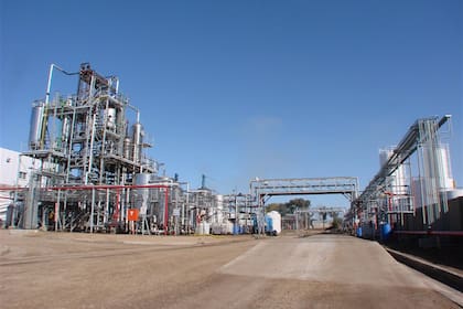 “El contexto complejo, tanto en precios como en demanda, recortó las exportaciones a Europa. Las condiciones del acuerdo para exportar dejaron un escenario actual poco favorable”, explicó Luis Zubizarreta