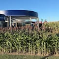 Un cultivo argentino que tiene a China como gran comprador va por otra revolución