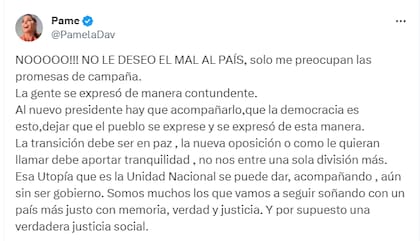 El contundente posteo de Pamela David