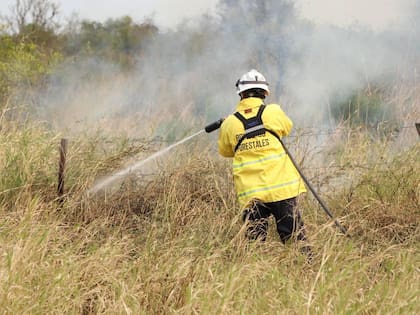 el coordinador del Comando Operativo de Emergencias, Bruno Lovinson, había anticipado esta detención: “Hay un alto índice de intencionalidad en los incendios, se han encontrado pruebas, y la Justicia está trabajando en este sentido. Y en base a eso se diligencian en acciones judiciales como detenciones e información de personas”