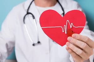 El corazón mantiene en funcionamiento al organismo