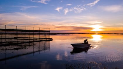 El corral de Nutria Gigante en la Isla San Alonso - Gentileza: Nico Guastavino CLT Argentina