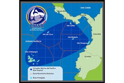 El Corredor Marino del Pacífico Tropical Oriental es una de las áreas de conservación de vida marina más grande del planeta