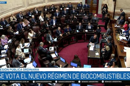El corte obligatorio de biodiésel pasará del 7,5% al 10% a los 12 meses de sancionada la ley