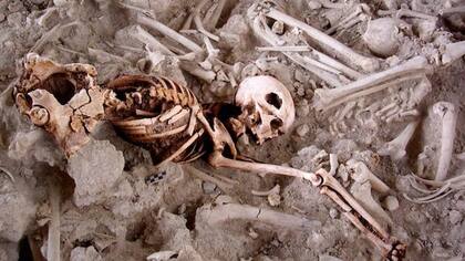 El cráneo de la mujer encontrada en un cementerio de la Edad del Cobre en España