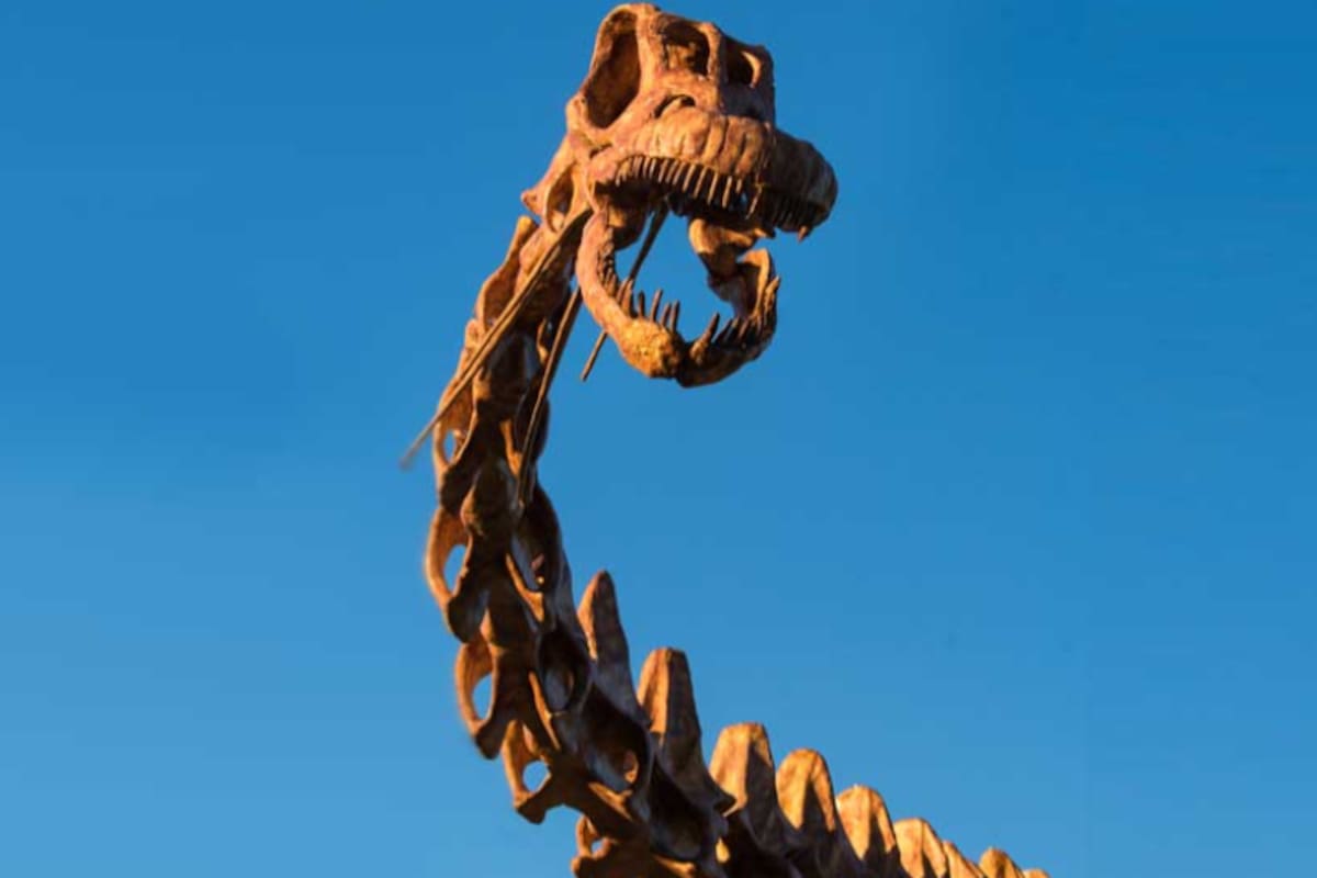 El cráneo del Patagotitan mayorum