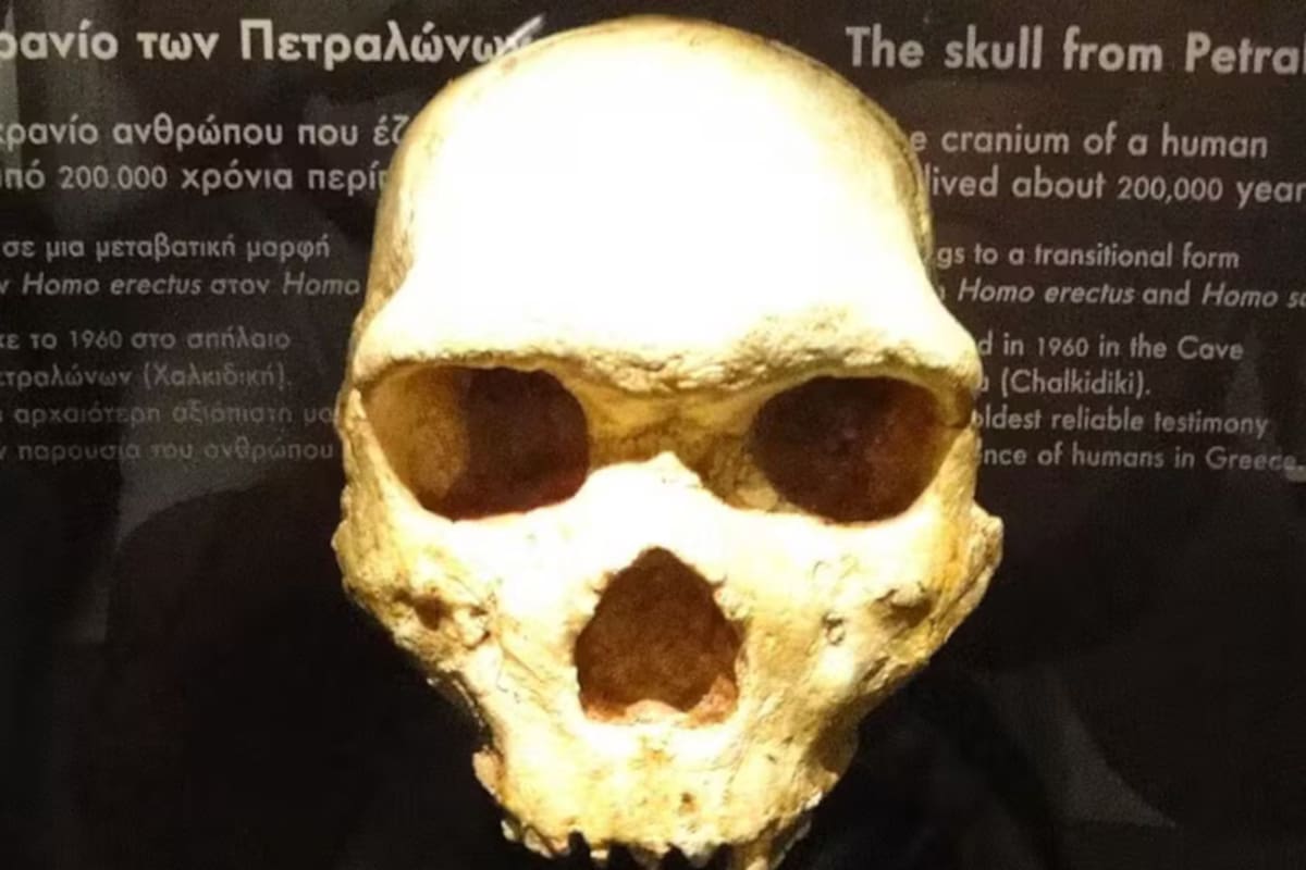 El cráneo encontrado data de unos 300.000 años atrás (Foto: O Globo)