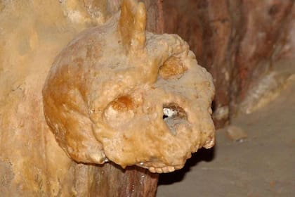 El cráneo fue hallado por primera vez por un aldeano a unos 35 kilómetros al sureste de Tesalónica