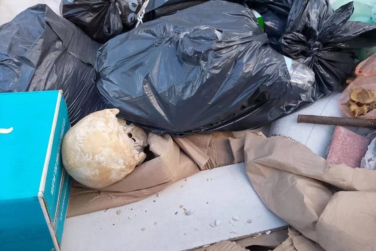 El cráneo hallado dentro de un contenedor en Leandro N. Alem al 4900, cerca de Playa Grande, en Mar del Plata
