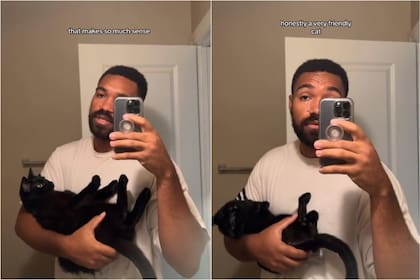 El creador de contenido tiene más de un gato