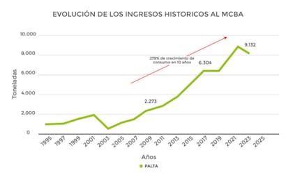 El crecimiento de la palta en los últimos 10 años