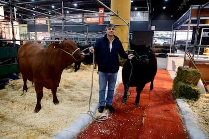 El criador Francisco Matta y Trejo