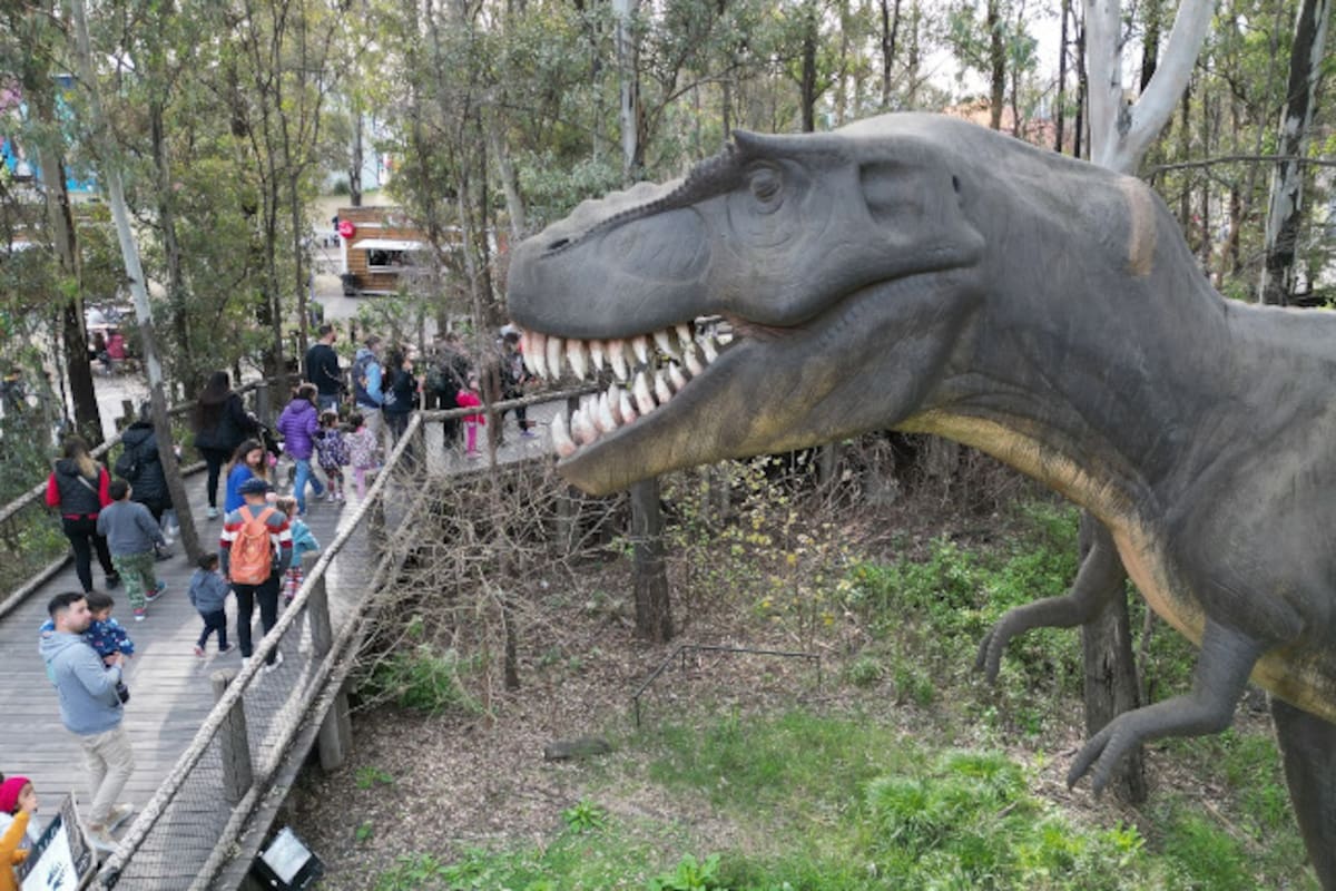 El cronograma de la Secretaría de Cultura, Turismo y Ciencia se despliega en distintos sectores de Tecnópolis sin costo adicional; desde la explanada hasta el predio ferial, se ofrecen propuestas para estimular la creatividad y la reflexión