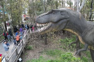 El cronograma de la Secretaría de Cultura, Turismo y Ciencia se despliega en distintos sectores de Tecnópolis sin costo adicional; desde la explanada hasta el predio ferial, se ofrecen propuestas para estimular la creatividad y la reflexión