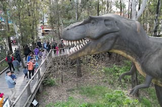 La guía de actividades y cómo reservar las entradas gratuitas