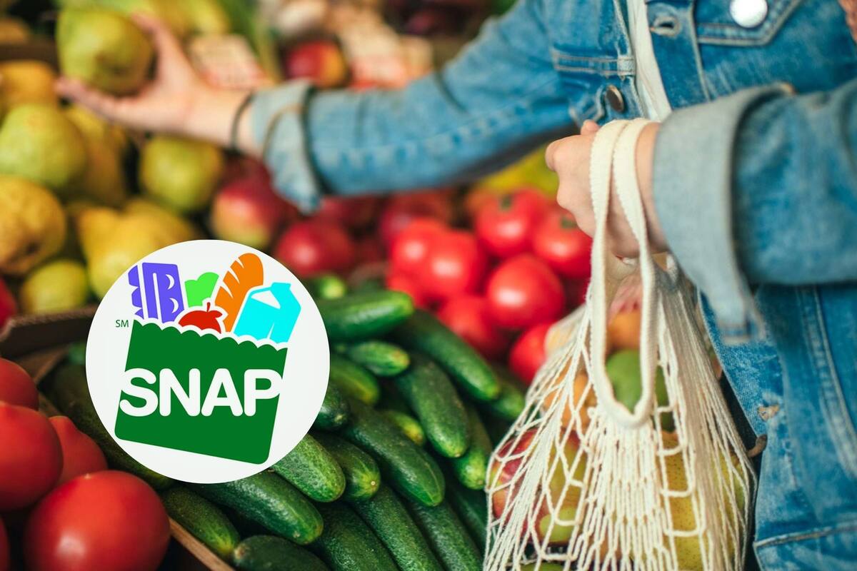 El cronograma de pago de los beneficios SNAP en Texas en diciembre 2024