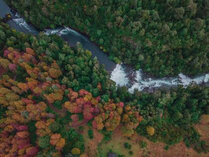 El cruce a Chile por Hua- Hum en otoño
Gentileza @huilohuilo_reservabiologica