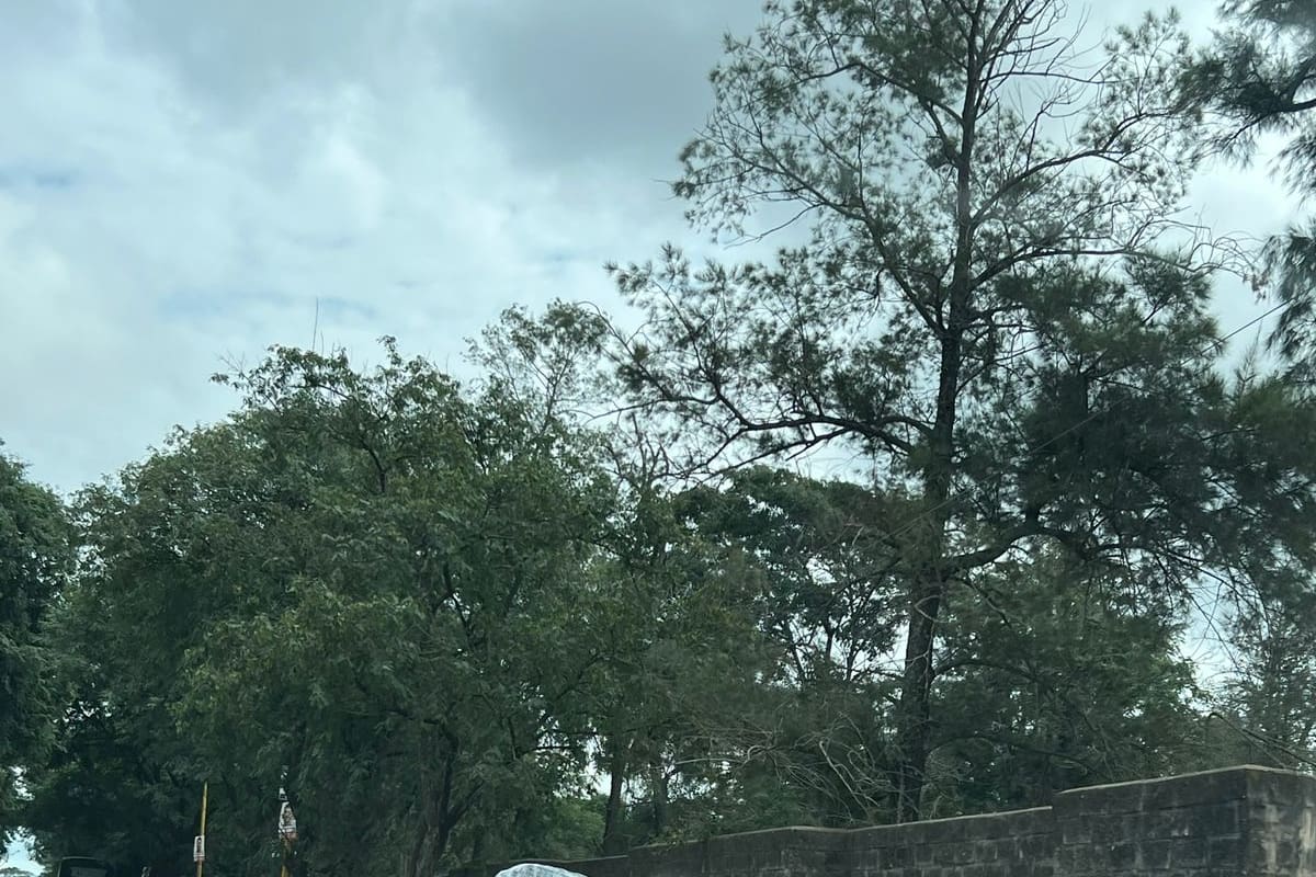 El cruce en la frontera norte es con "bagayeros". En Orán trabajan unos 2500.