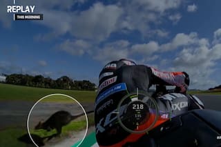 El espectacular cruce en pista entre una moto a casi 220 km/h... ¡y un wallaby!