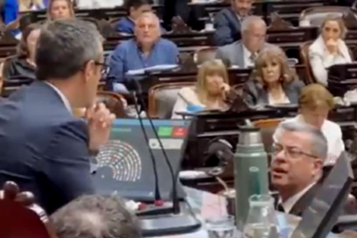 El cruce entre Martín Menem y Germán Martínez en Diputados, que terminó con una invitación a pelear y el uso de una frase de Diego Maradona