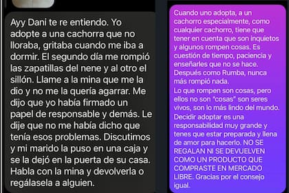 El cruce que tuvo Dani con una seguidora por la adopción de animales