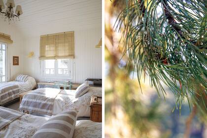 El cuarto de las tres integrantes más jóvenes de la familia recibe sol todo el día, clave en esta parte del mundo. Ventanas de pino Oregón con doble vidrio con cortinas enrollables de madera.