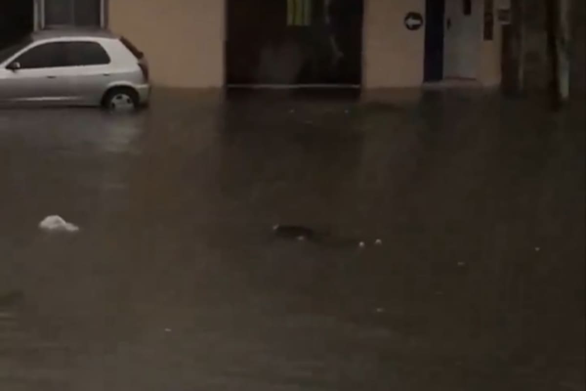 El cuerpo apareció flotando en medio del temporal.
