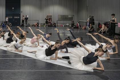 El cuerpo del Ballet estable del Teatro Colón, en pleno ensayo para estrenar mañana un clásico que no pasa de moda