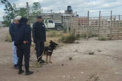 El cuerpo incinerado fue hallado en un basural