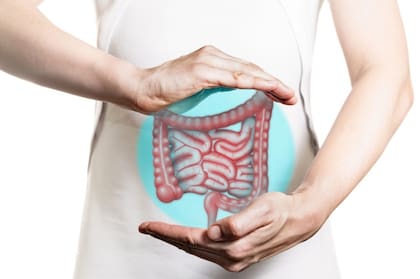 El cuidado del colon es fundamental para mantener un sistema digestivo saludable