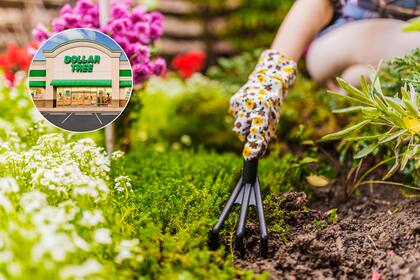 El cultivador manual de metal con mango de Garden Collection, disponible en Dollar Tree por solo US$1,25, se convirtió en un éxito entre los jardineros que buscan soluciones económicas