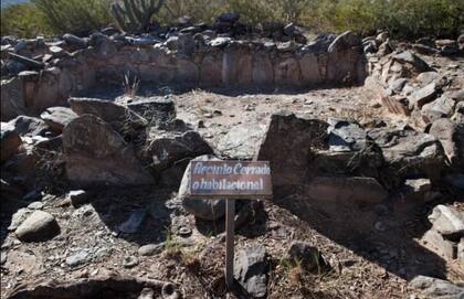 El cultivo del maíz y la cría de camélidos fueron esenciales para esa antigua sociedad, donde además fue importante el uso del algarrobo