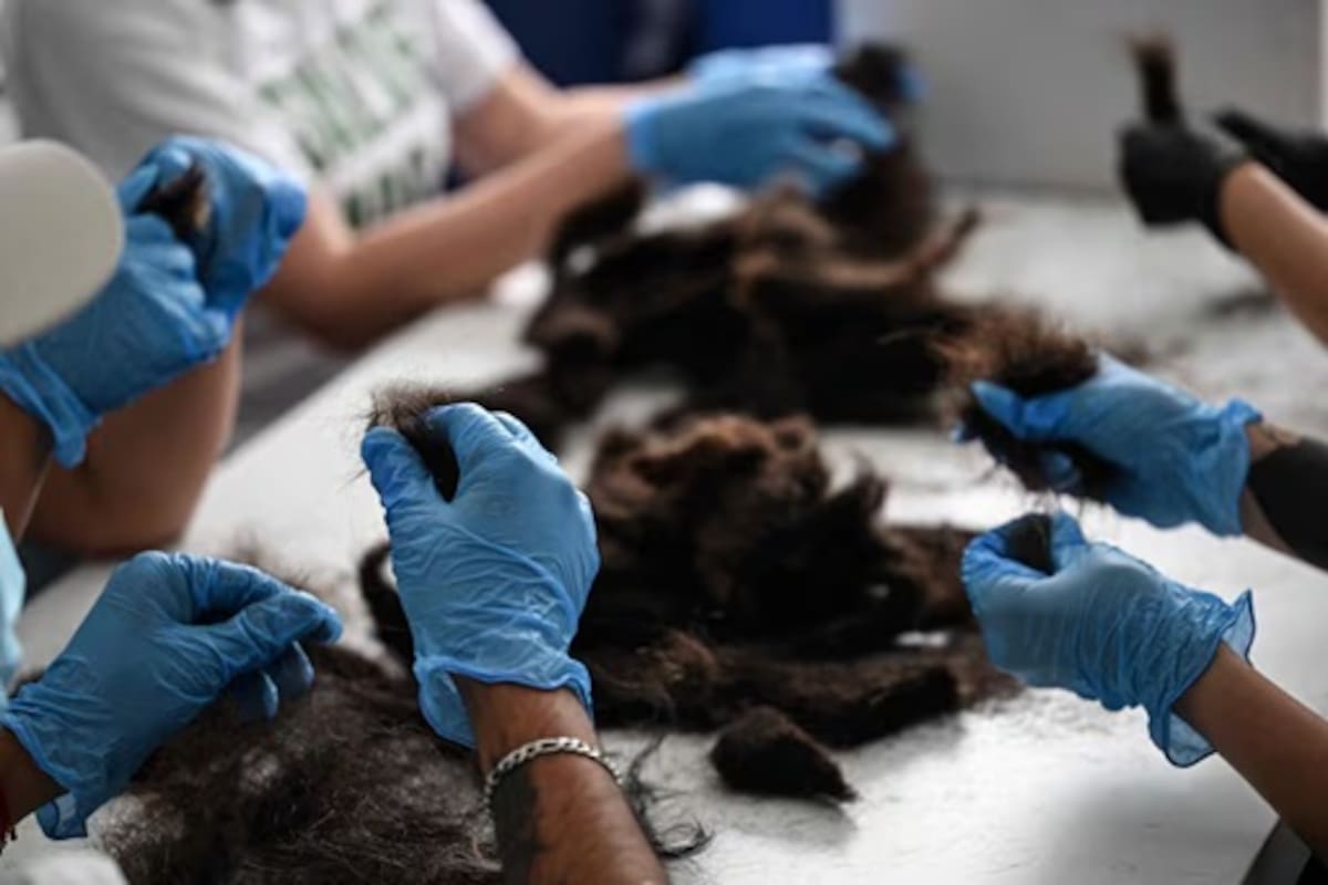 El curioso plan para limpiar los canales de Xochimilco con toneladas de cabello humano.