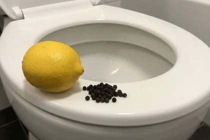 El curioso truco de limón y pimienta en el inodoro
