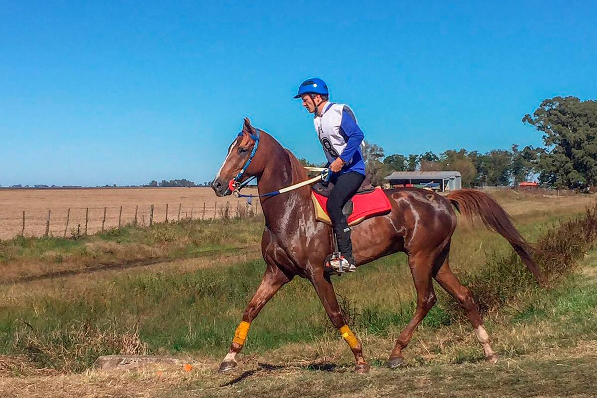 El Dakar de los caballos: cómo es el endurance, que tiene sus cultores (y sus clones) en la Argentina
