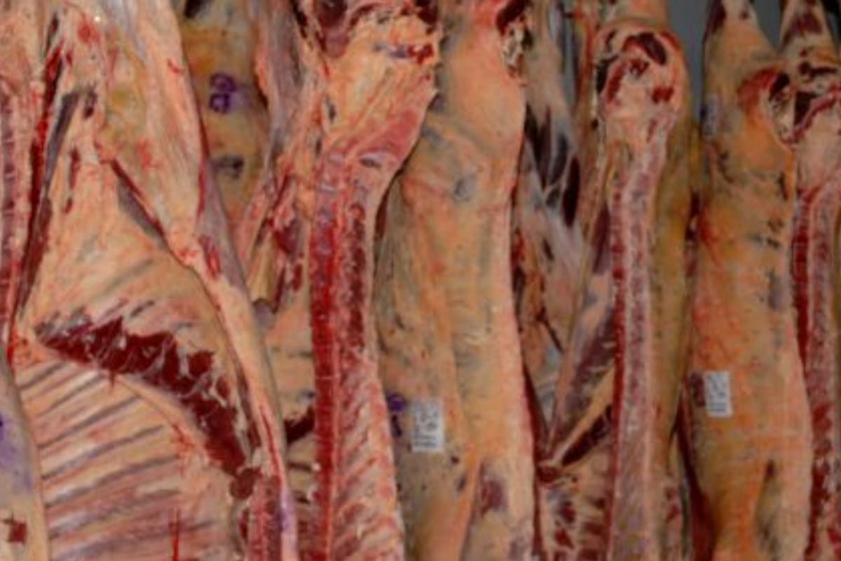 El daño del cepo a las exportaciones se hizo sentir en toda la cadena