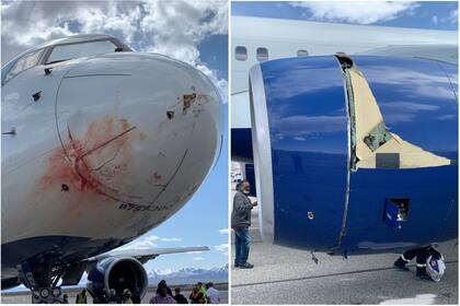 El daño en el avión de Utah Jazz luego de cruzar una bandada de pájaros: hubo una explosión, las turbinas comenzaron a expulsar fuego y los pilotos tuvieron que hacer un aterrizaje de emergencia