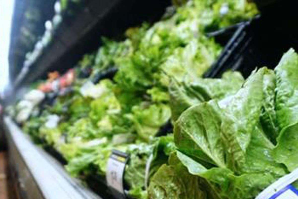 El dato corresponde a lo que las provincias reportaron al sistema sanitario el año pasado; la mala manipulación de productos y la procedencia desconocida, entre las principales causas