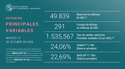 El dato informado por el BCRA