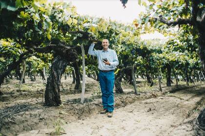 "El de Salta es un Malbec con muchísima concentración, gran intensidad y profundidad de color, muy expresivo aromáticamente y con gran fuerza de boca”, describe Alejandro Pepa, gerente de Enología de Bodega El Esteco